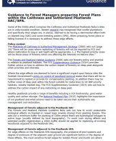 Guidance to Forest Managers preparing Forest Plans within the Caithness and Sutherland Peatlands SAC/SPA